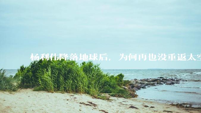 杨利伟降落地球后，为何再也没重返太空？